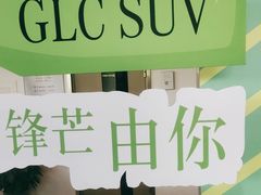 -北京之星奔驰4S店(亦庄店)