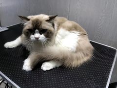 -宠颐生动物医院·小陆分院