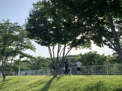 -羊山湖公园