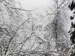 -九峰山