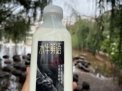 -盒马鲜生(公园1903店)
