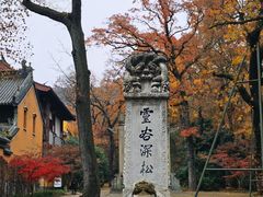 -灵谷景区