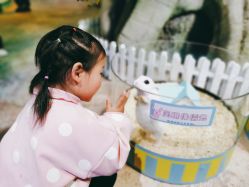 -酷嗒动物文化乐园(cutezoo西溪乐天城店)