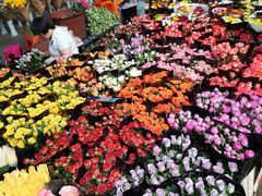 -昆明国际花卉拍卖交易中心