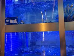 -匠岳·王宝器麻椒鱼(全国总店)