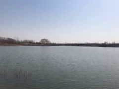 -东郊湿地公园