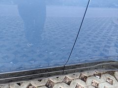 -上海鲜花港