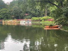 -晓港公园