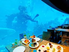 -海棠湾洲际-涛·海底餐厅·美人鱼·自助餐·海底隧道
