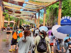 -南宁方特东盟神画