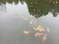 -云岗森林公园