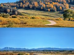 -塞罕坝国家级自然保护区