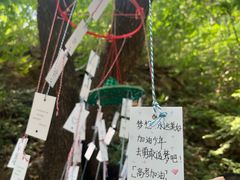 -北京西山国家森林公园