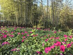 -陶祖圣境风景区