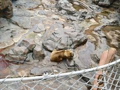 -杭州长乔极地海洋公园