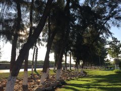 -宝安西湾红树林湿地公园