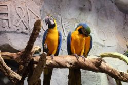 -Zoolung Zoolung动物主题公园(海信广场店)