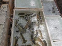 -拉威海鲜市场