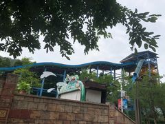 -重庆海昌加勒比海水世界