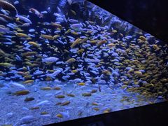 -成都浩海立方海洋公园