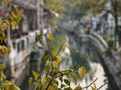 -猫的天空之城概念书店(苏州平江店)