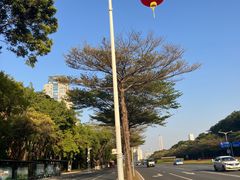 -深圳国际园林花卉博览园