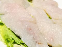 那哥鱼-金砂阿洲鱼册店