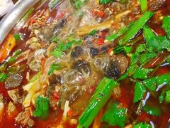 -陈三炖鸡馆(金众小区店)