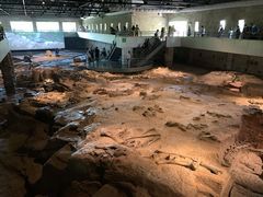 -自贡恐龙博物馆