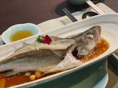 -十八棵（老龙井）御茶园(老龙井店)