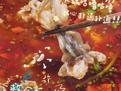 -蛙一刀·麻椒鱼火锅(金仙桥店)