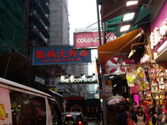 -龙城大药房