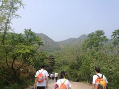 -北京鹫峰国家森林公园