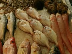 -潮人姐妹轩(海宁路店)