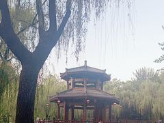 -西安市长乐公园