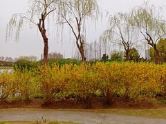 -黄兴公园