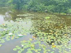 -白马涧龙池景区