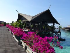 -卡帕莱度假村(西巴丹岛)