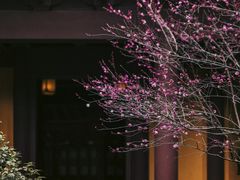-慧因高丽寺