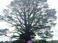 -霍比特人村