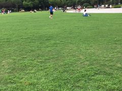 -复旦大学本部-食堂