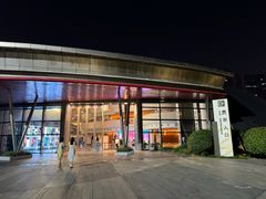 -合肥大剧院