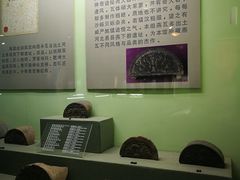 -古陶文明博物馆