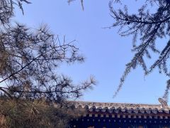 -白云观