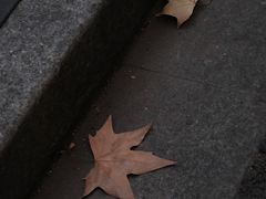 -TonTon(永康路店)
