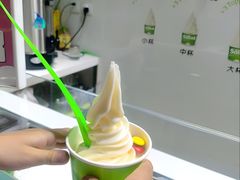 -Salud撒露欧洲冻酸奶(北苑上品店)