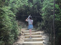 -梦幻奥陶纪景区