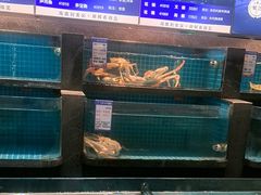 -梦都海鲜酒家(万达广场江桥店)