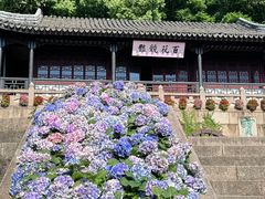 -苏州上方山国家森林公园