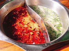 鸳鸯菌汤锅-赵记阿香婆麻辣涮(平顶山店)